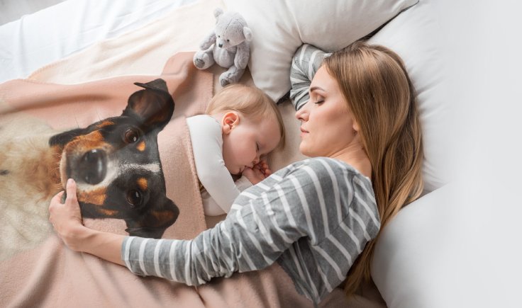 Cozy dreams under cozy blankets. Simply choose your image, size and material and we’ll deliver straight to your door.