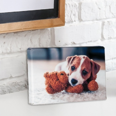 Make your place happier. Mini canvas makes a perfect gift for a special person in your life.
