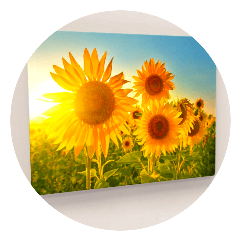 Walgreens Photo Printing Photo Gifts by Printicular